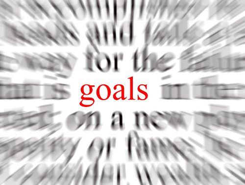 Goals For 2014