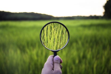 Do you know the value of Phase I/II Environmental Site Assessments (ESAs)?