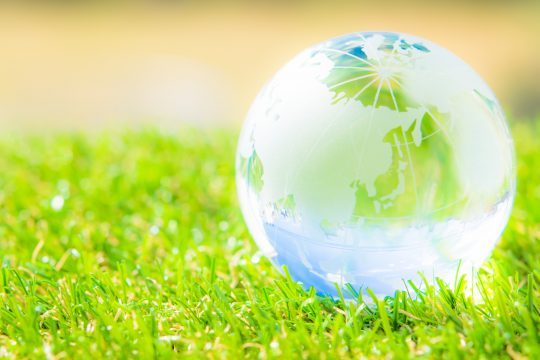 How Clean is Clean Enough for an Environmental Cleanup?