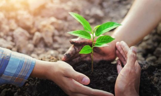 Environmental Cleanup 101: Understanding what to expect during the remediation process