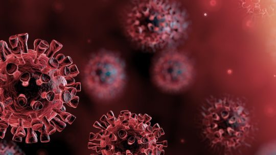 Terrible Virus Is Killing People… Is Hurting Our Industry Badly…