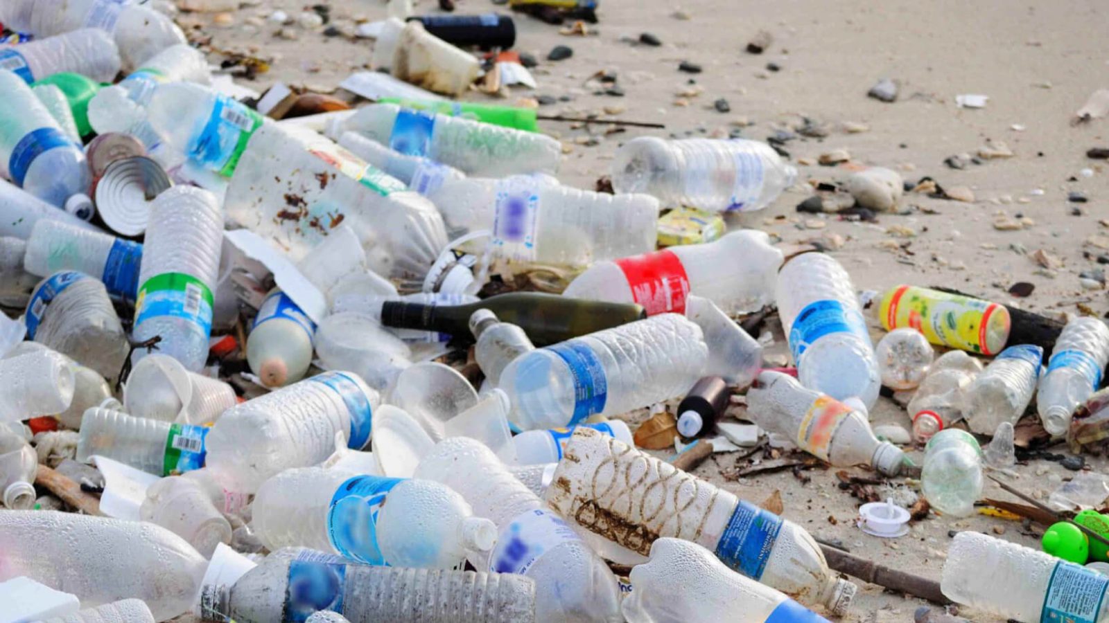 What You Need To Know When Addressing Environmental Contamination