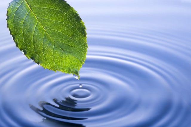 Setting Up Your Environmental Priorities: What Can Wait, And What Just Can’t
